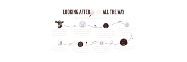 Infographic of how milk gets to you