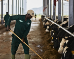 Arla Dairy Development Newsletter - Issue #3